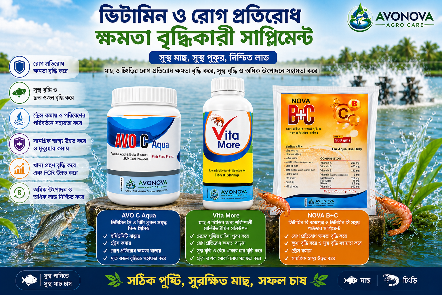 Vitamin and Mineral Supplement
