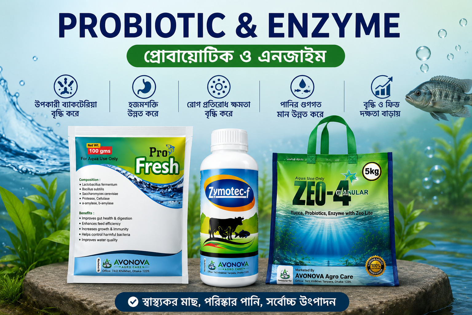 Probiotic and Enzyme